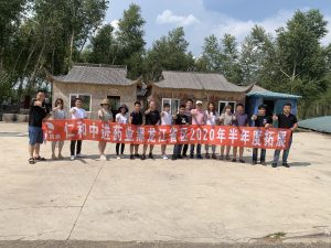 團(tuán)隊的力量
