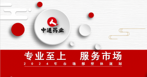 專業(yè)至上 ?服務(wù)市場(chǎng)? ——中進(jìn)市場(chǎng)部召開(kāi)2023年度工作會(huì)議